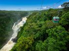 熱帯雨林の上を進むスカイレール。森の中に現れるバロン滝との遭遇！