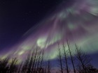 日により異なる幻想的なオーロラ鑑賞をお楽しみください。