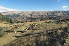 アンデス山脈に広がる聖なる谷の牧歌風景