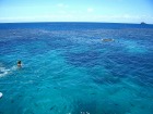 世界遺産の真っ青な海でのシュノーケリングは最高