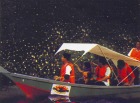 スランゴール川にてボートで螢鑑賞