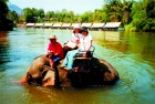 象の上から川を渡る貴重な体験