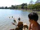 カンボジアの大自然の中、池で泳ぐ子供達