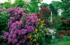 莫大な費用を費やして造られたヴェルサイユの美しい庭園