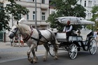 白馬の馬車が走るボヘミア西部の都市の風景
