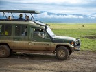 4WD車でどっぷりタンザニアのサファリ体験！