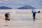 塩湖では、塩を採取する人に遭遇できるかもしれません。