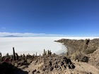 乾季のウユニ塩湖はインカワシ島の訪問がおすすめ