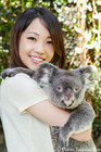 可愛いコアラと記念撮影、抱っこつきプランでのお申し込みを