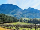 南アフリカのワインの産地として有名なステレンボッシュ