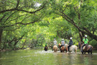 川の中でも馬たちはとても落ち着いています