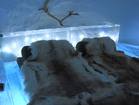 室内にある氷のベッドの上にはトナカイの毛皮