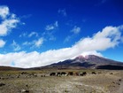 エクアドルの富士とも言われるコトパクシ山