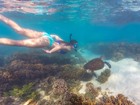 透き通る海で気軽にお魚観察！人気のシュノーケル体験