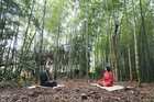静かな竹林の中で座禅体験