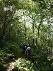 7合目からの登山道の様子