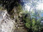 ワイナピチュの山道の様子。ひたすら石の階段を上ります。