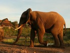 チョベ国立公園、ヴィクトリアフォールズで象などの大型動物に出会えます