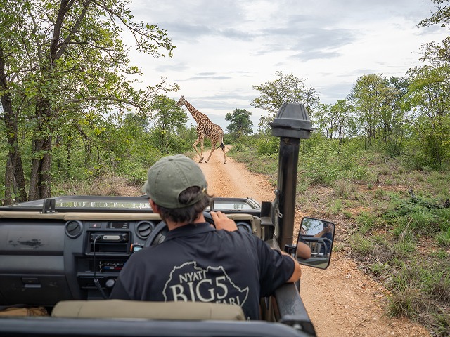 グレータークルーガーではたくさんの野生動物に出会えます