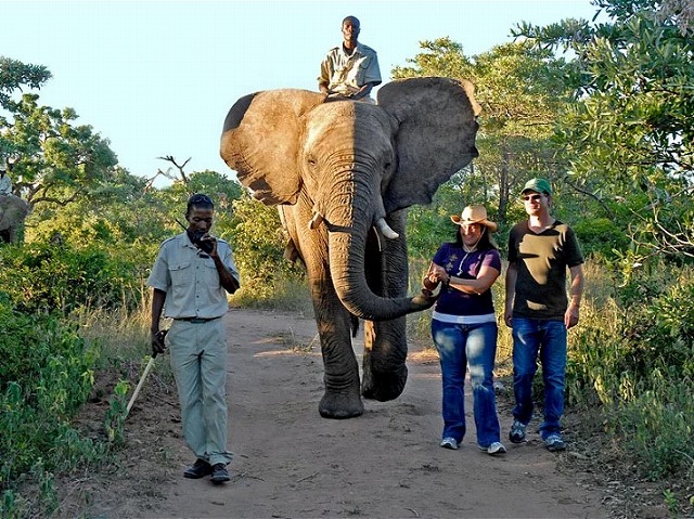 空き時間には各種アクティビティを追加可能