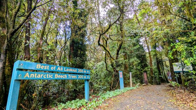 ベストオブオールトレッキング入り口