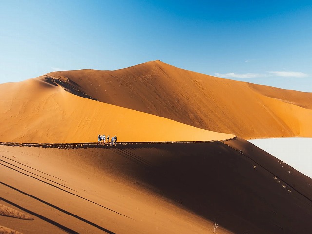 広大な砂漠の景観をお楽しみください。