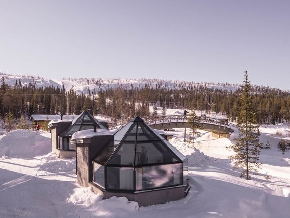 日中のイグルーの様子