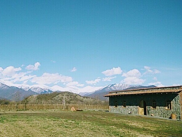 ワイナリーでジョージアワインのテイスティング