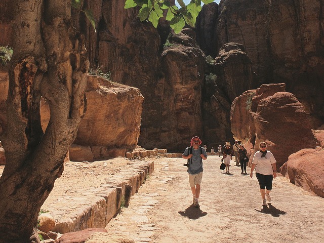 遺跡内では英語ガイドがご案内します