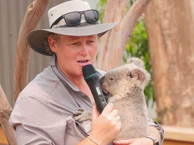 シドニー動物園ならではの特別な体験をどうぞ