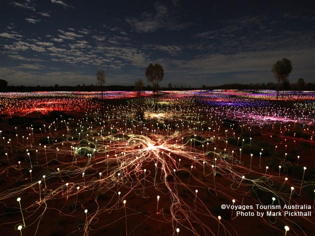 Bruce Munro氏によるフィールド・オブ・ライト