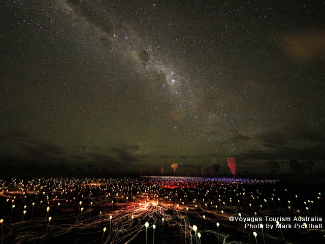南半球の星空もお楽しみください