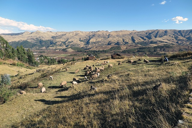 アンデス山脈に広がる聖なる谷の牧歌風景