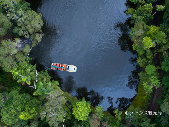 レインフォレステーションでのアーミーダック乗車付き