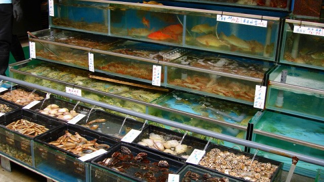 ラマ島の新鮮な魚介類