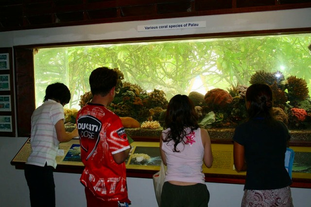 サンゴ礁研究センターで珊瑚を観察