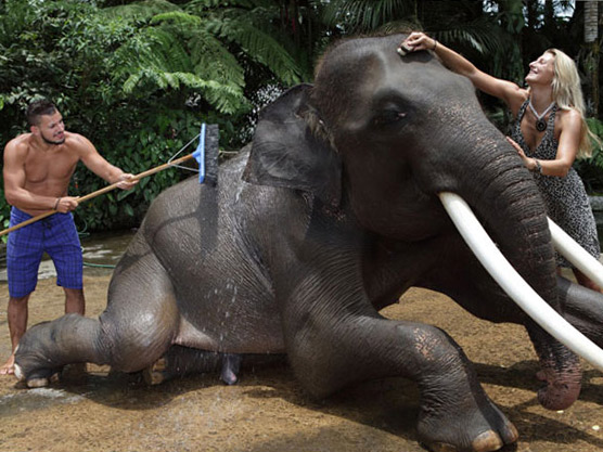 バリ島で象さんと触れ合おう！