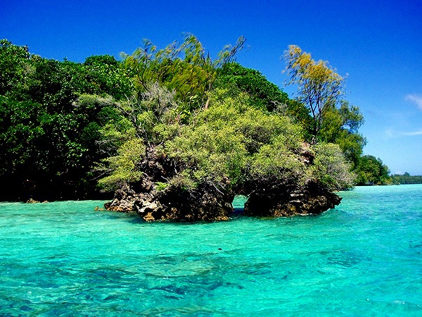 濃い緑と青が美しいパラオの海と無人島