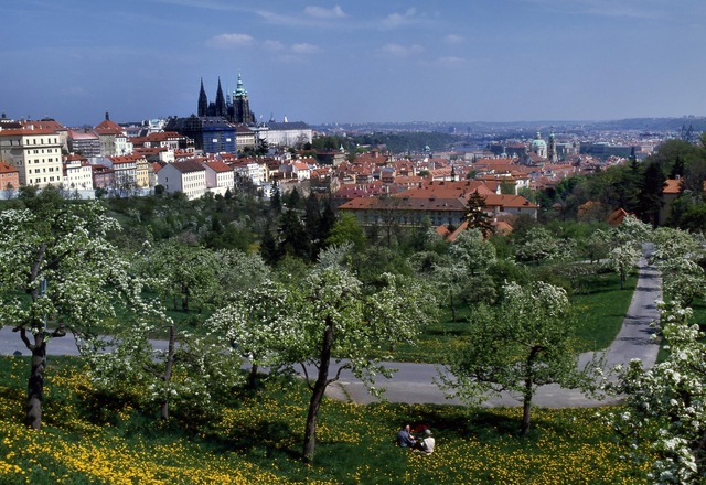 プラハの街並みとプラハ城が見える絶景