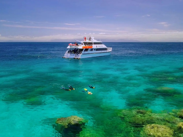 青い海でダイビング！感動体験をどうぞ
