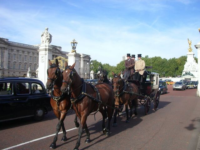 蹄を鳴らして闊歩する馬車がロンドンの街によく似合う