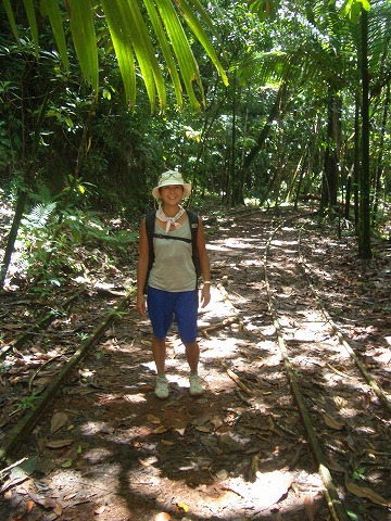 バベルダオブ島のジャングルの中をトレッキング