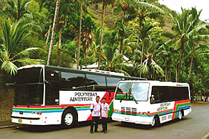 ハワイ島の名所を快適なツアーバスで巡る