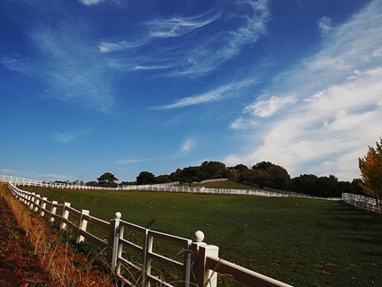 ソウル 韓国ドラマ シークレットガーデン ロケ地ツアーの予約ならホットホリデー