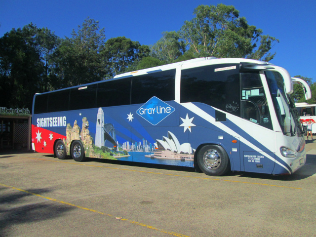 シドニー周辺のアイコンを散りばめた楽しげなバス