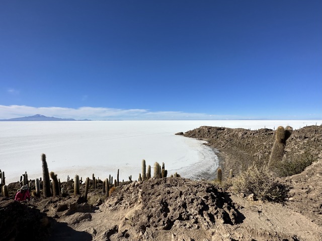 乾季のウユニ塩湖はインカワシ島の訪問がおすすめ