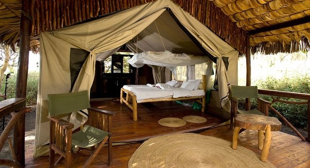 タンザニア滞在中は大自然の中でのテント泊