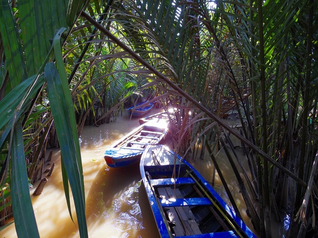手漕ぎボートでメコン川をジャングルクルーズ