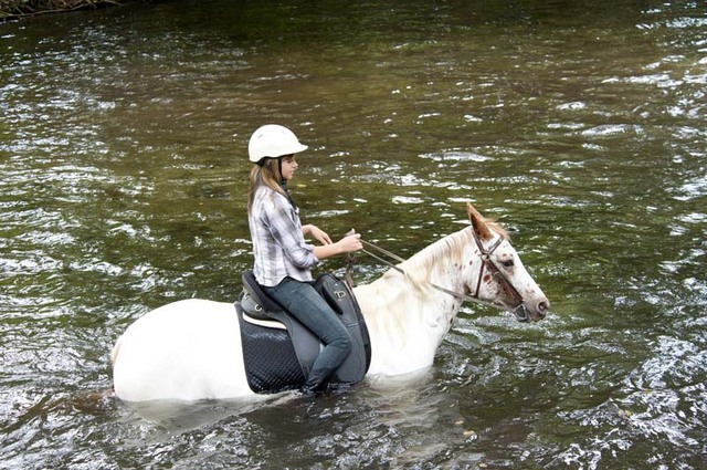 馬と一緒に川の中へ!!!