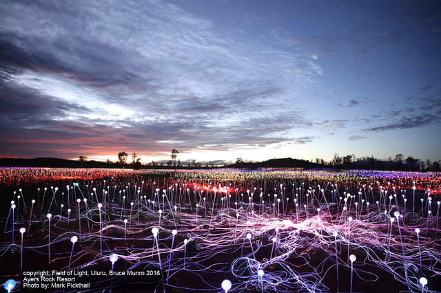 約5万球以上の電球が織り成すイルミネーションショー